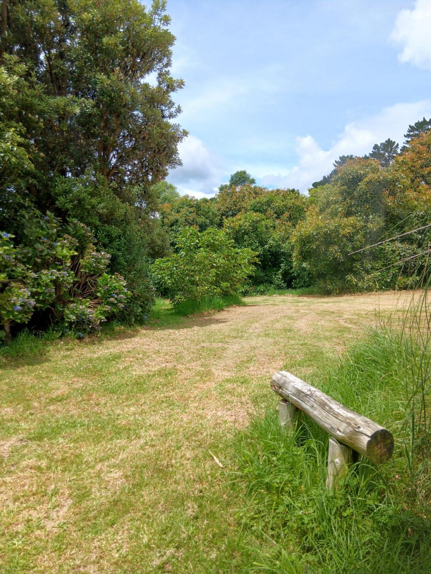 Purple Hen Country Lodge Katikati Exteriör bild
