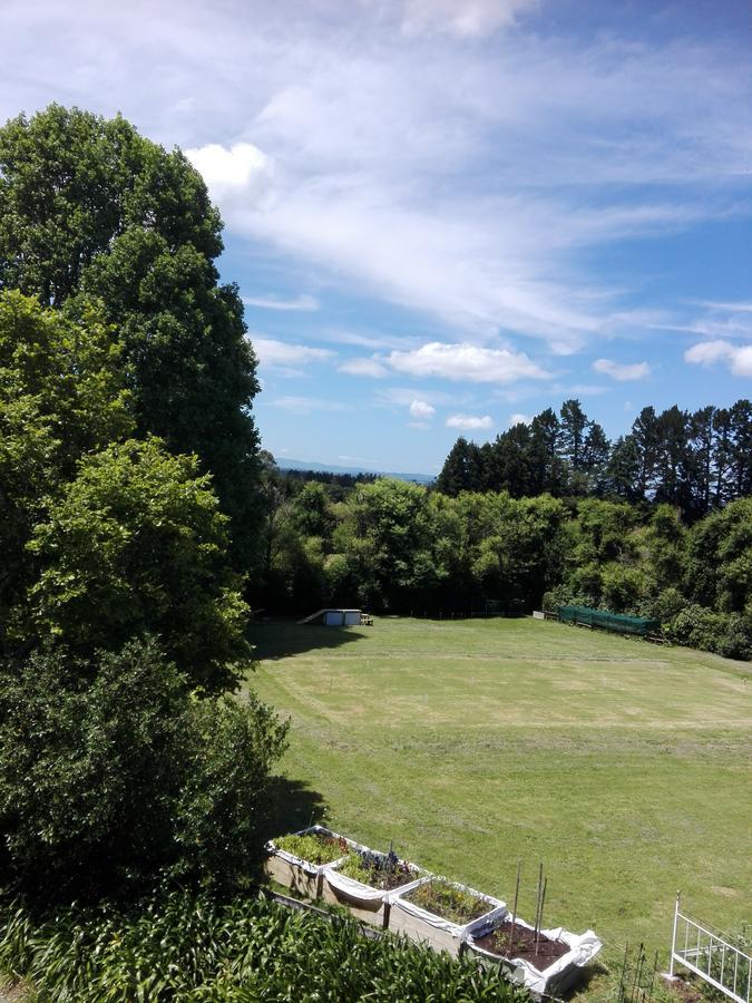 Purple Hen Country Lodge Katikati Exteriör bild